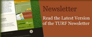 Newsletter SignUp